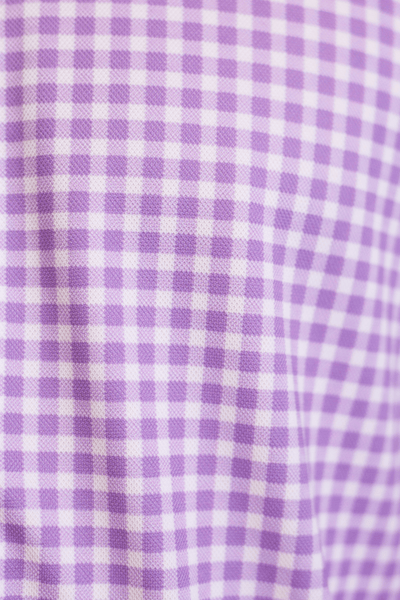 Mauro Long Sleeve Check Tech Shirt - Lavender